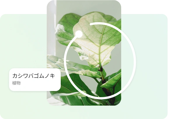 Image searching with circle to search